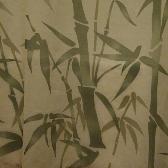 Party Host, C - Picture 2 of 4